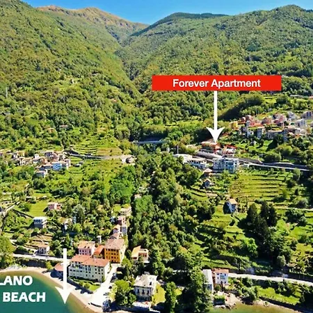 Forever By Design * Bellano