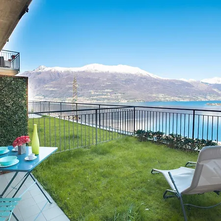 Forever By Design * 贝拉诺